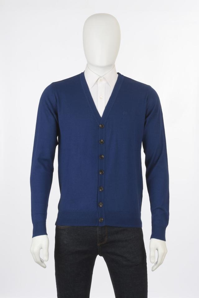 Raymond | Raymond Blue Sweaters 0