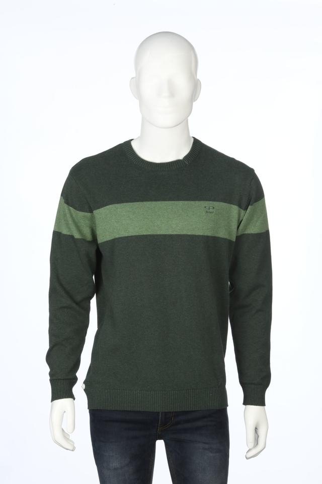 ColorPlus | ColorPlus Green Sweater