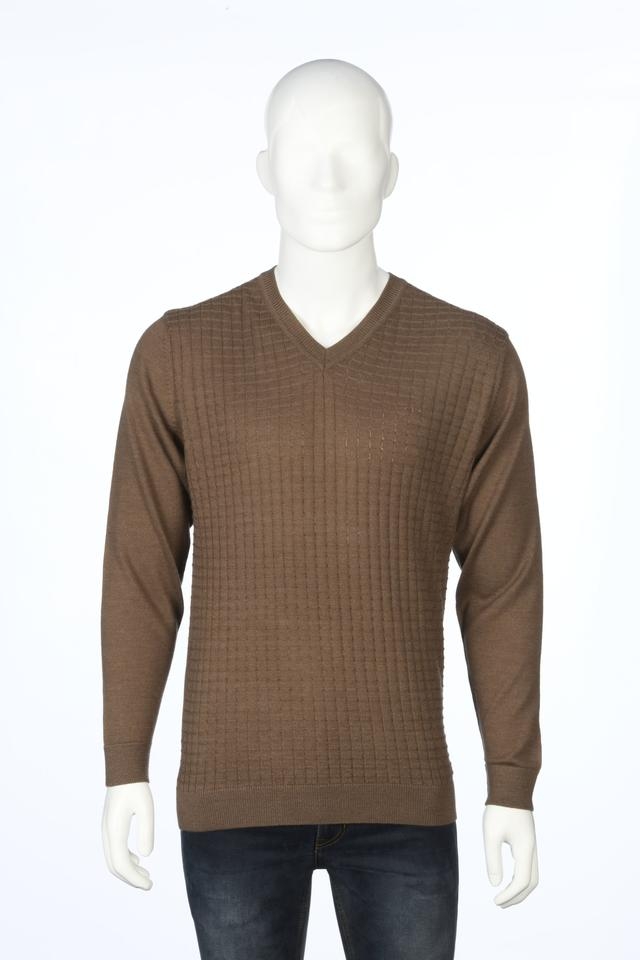 ColorPlus Brown Sweaters