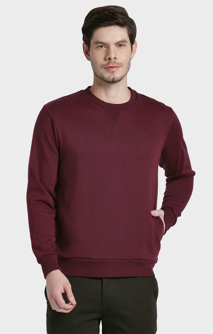 ColorPlus | ColorPlus Red Sweatshirts For Men