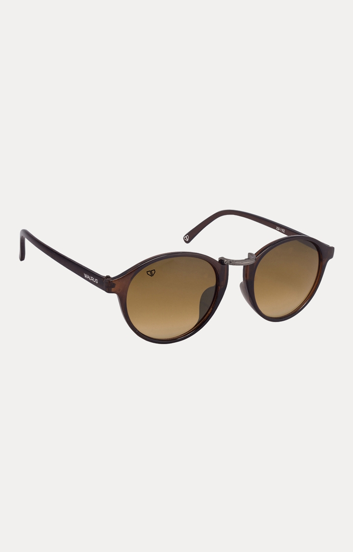 Walrus | Brown Round Sunglasses