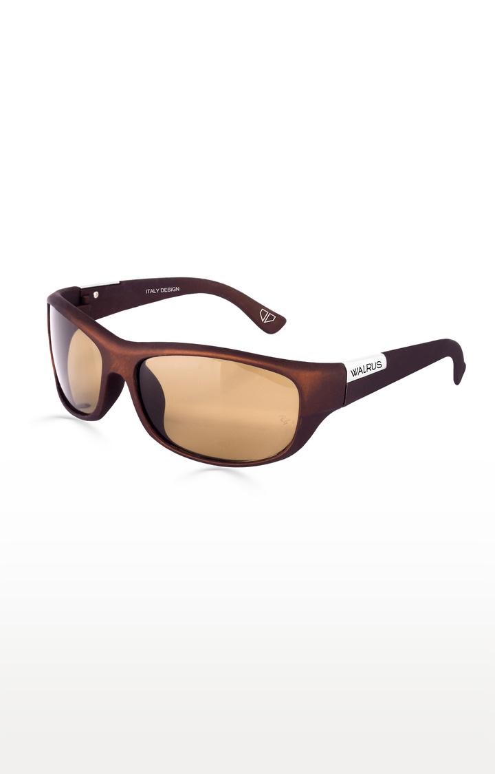 Brown Sports Sunglasses