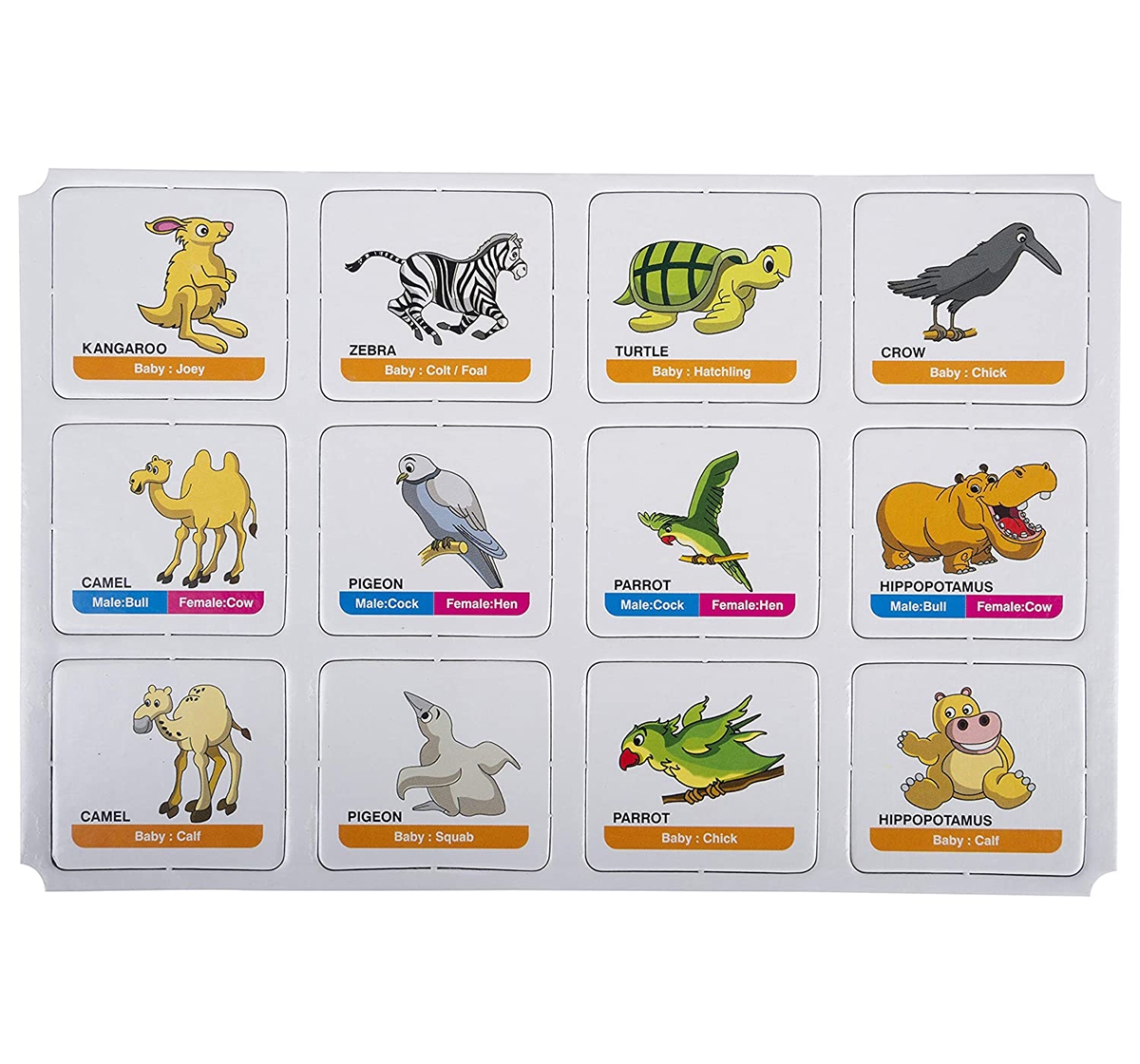 Funskool Memory Animal Family for Board Game Kids age 12M+