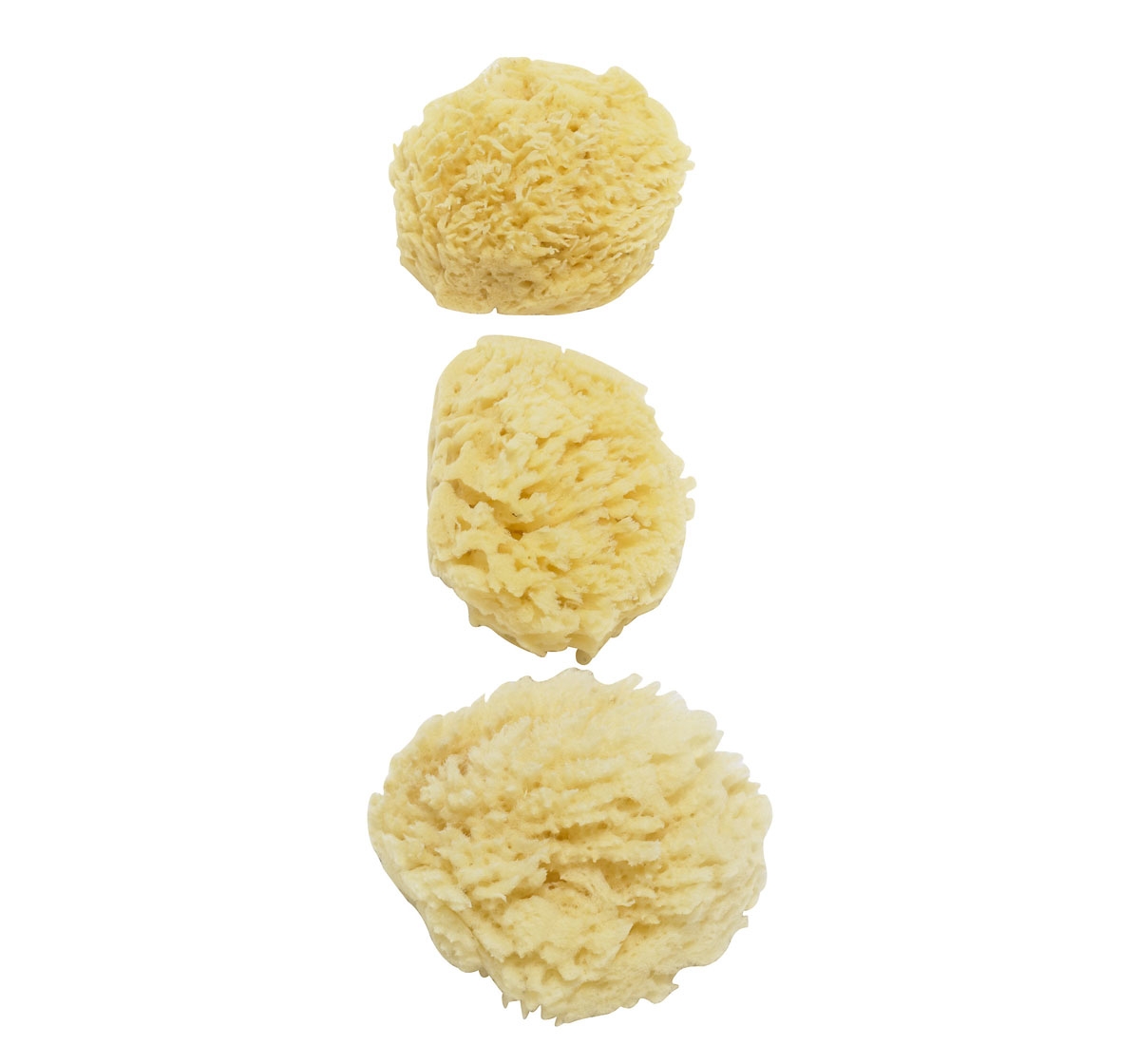 Beige Natural Baby Sponges - Set of 3