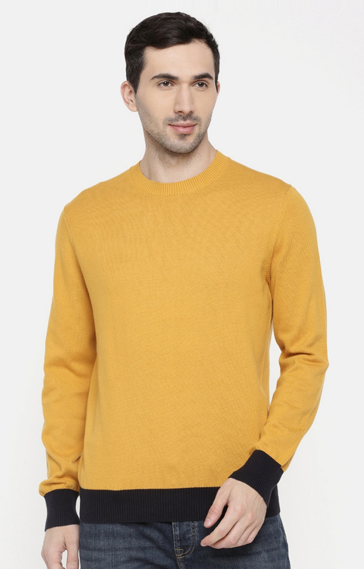Solid Round Neck Yellow Sweaters