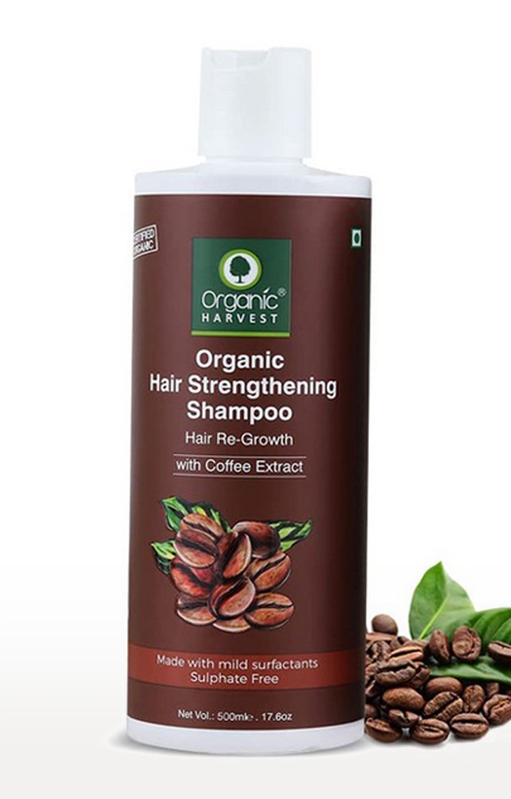 Organic Harvest | Organic Harvest Coffee Shampoo For Hair Fall Control & Hair Growth, Hair Strengthening Shampoo for Women - 500ml