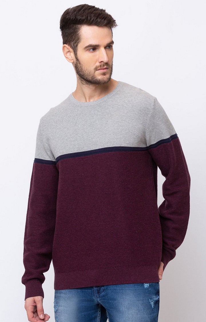 Men's Purple Cotton Colourblock Sweaters