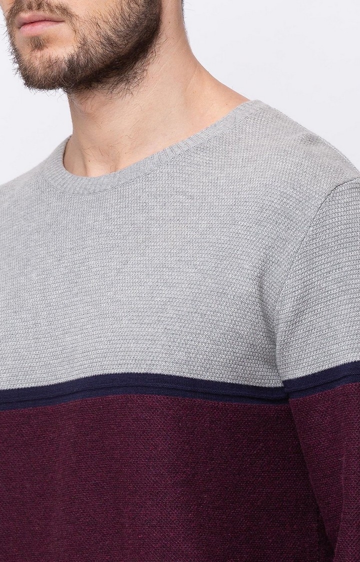 Men's Purple Cotton Colourblock Sweaters