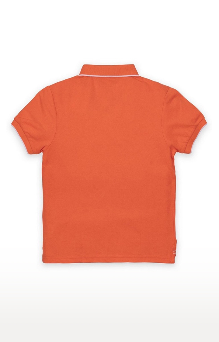 Boy's Orange Cotton Solid Polos