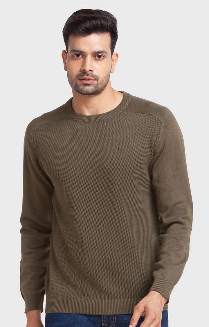 ColorPlus Tailored Fit Green Sweater For Men