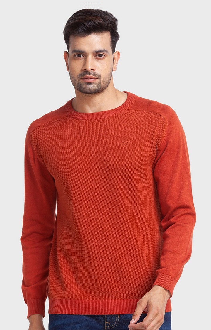 ColorPlus Tailored Fit Orange Sweater For Men