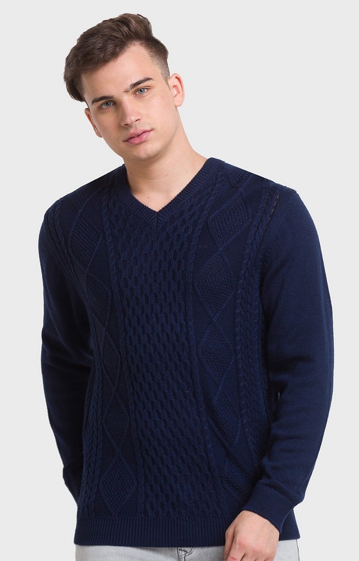 ColorPlus | ColorPlus Tailored Fit Blue Sweater For Men