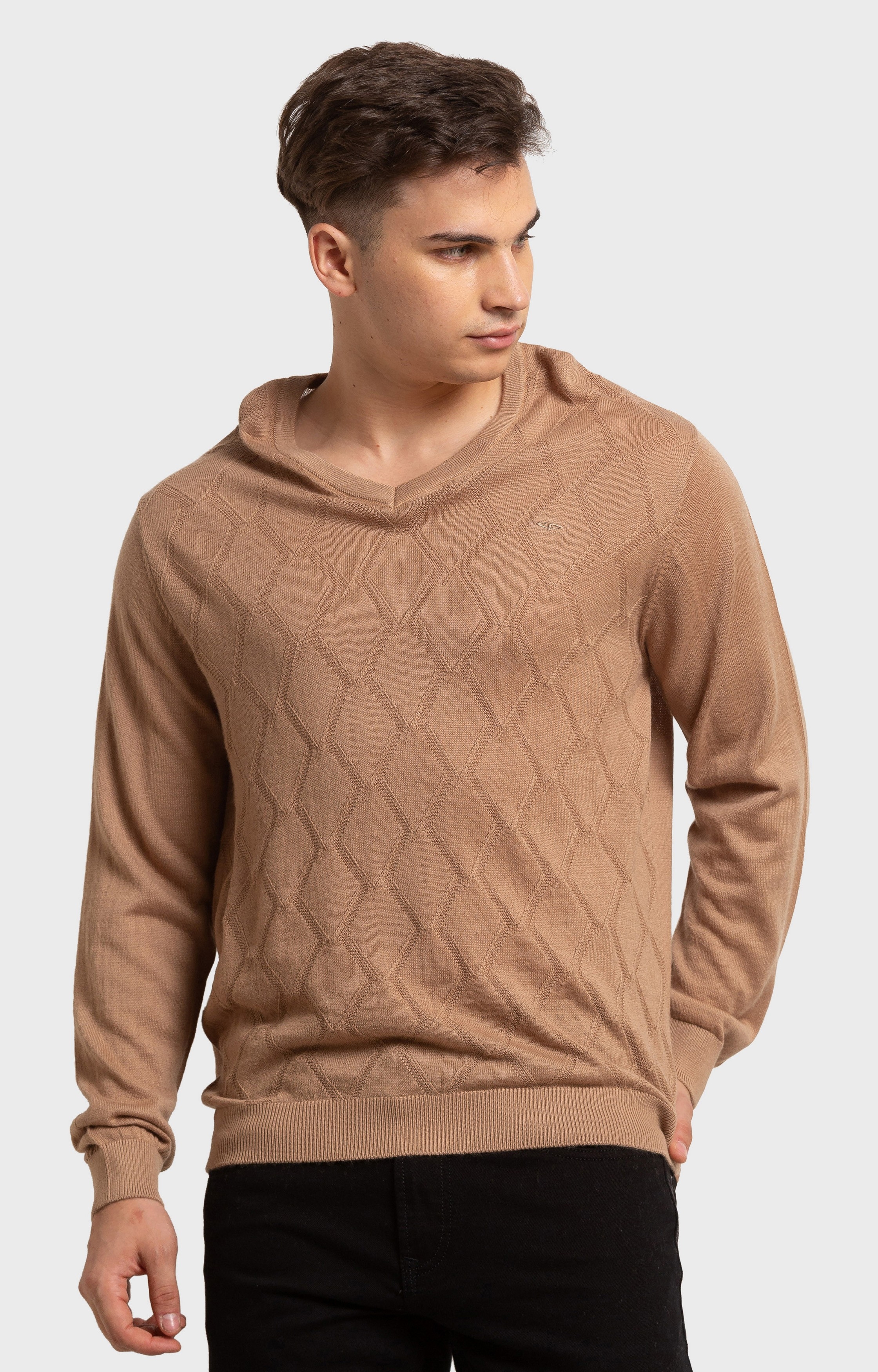 ColorPlus | ColorPlus Tailored Fit Brown Sweater For Men