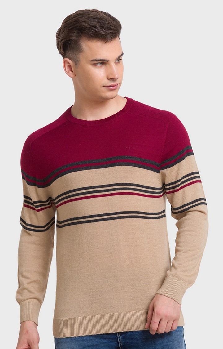 ColorPlus | ColorPlus Tailored Fit Beige Sweater For Men