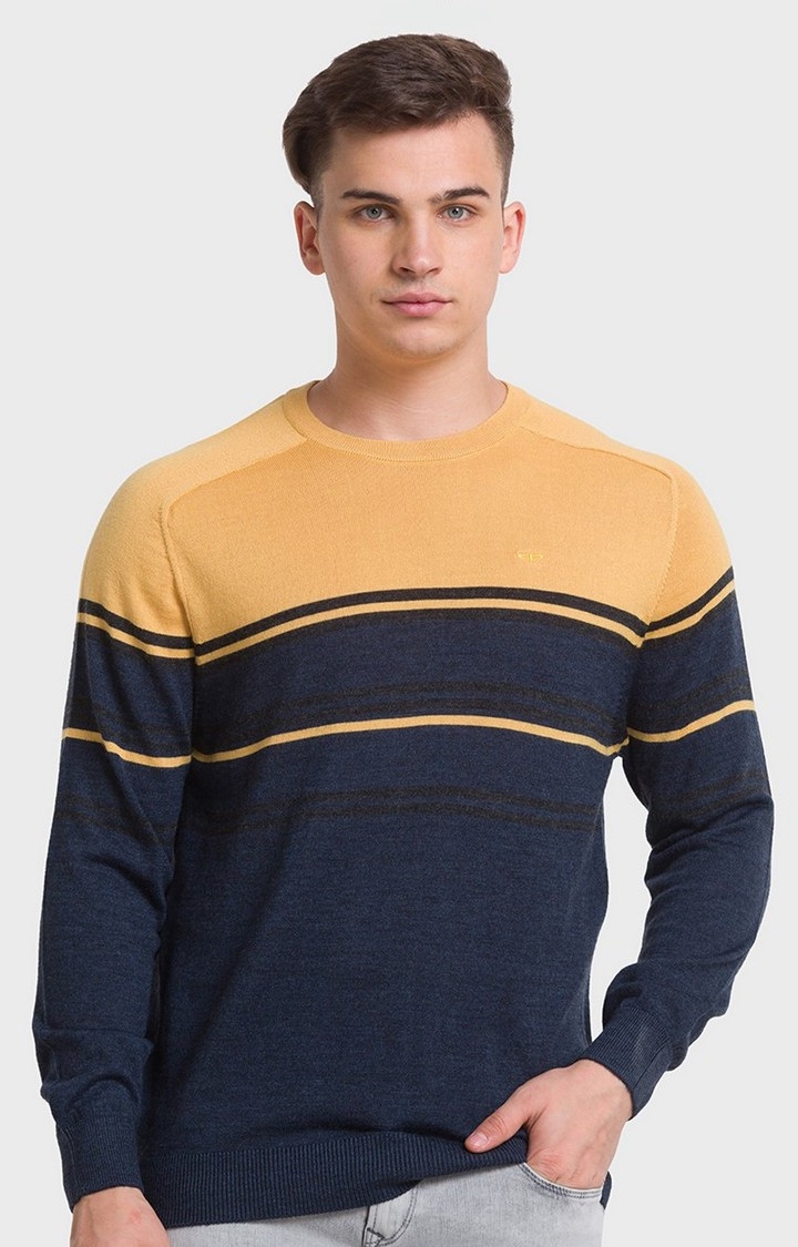 ColorPlus Tailored Fit Blue Sweater For Men