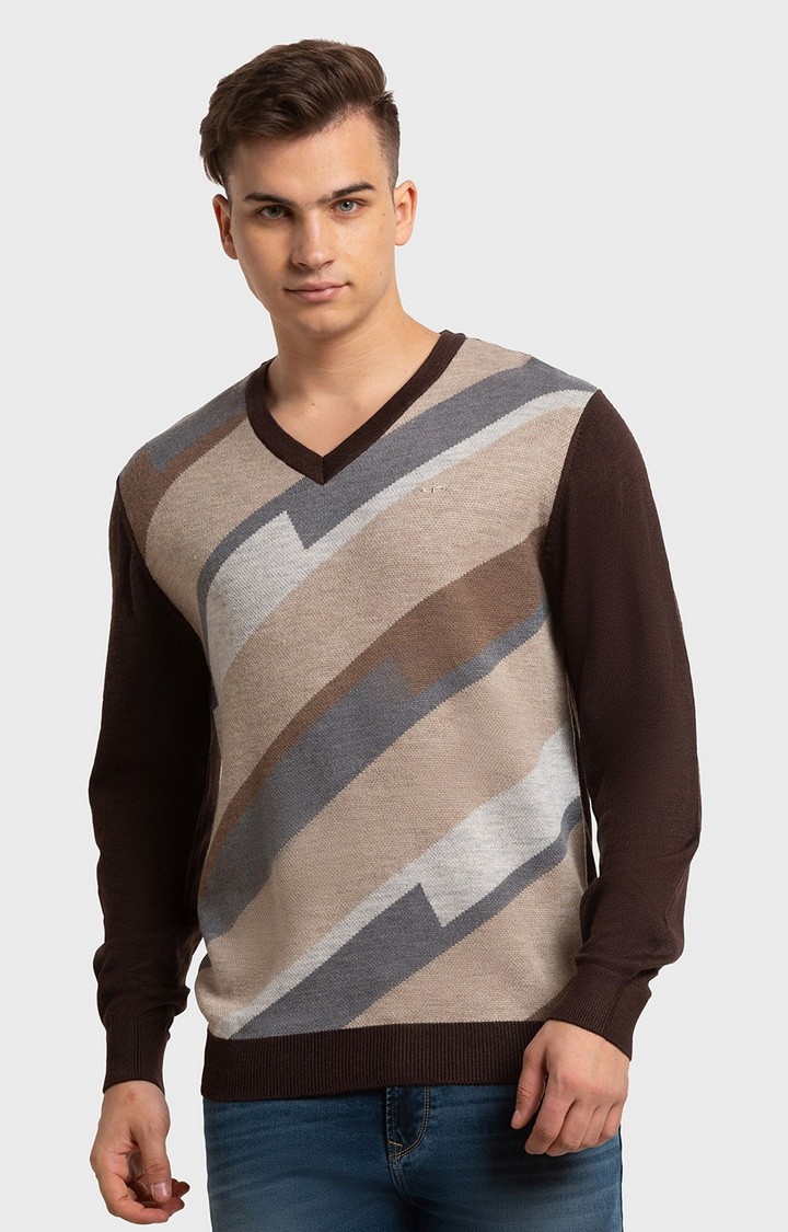 ColorPlus | ColorPlus Tailored Fit Brown Sweater For Men