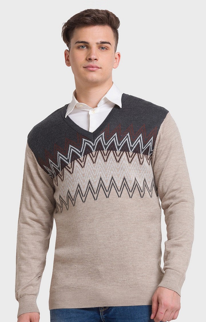 ColorPlus Tailored Fit Beige Sweater For Men
