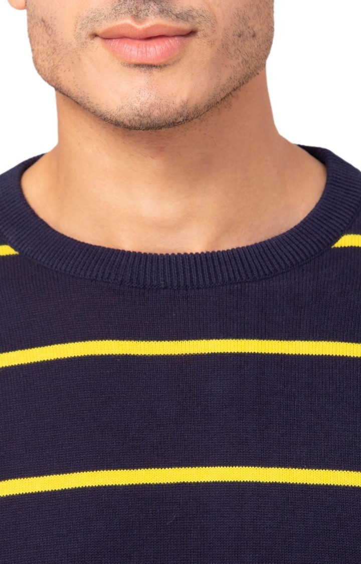 Allen Cooper Blue Striped Round Neck Sweater