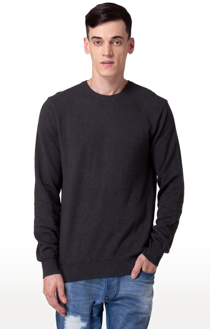 Allen Cooper | Allen Cooper Grey Solid Round Neck Sweater For Men