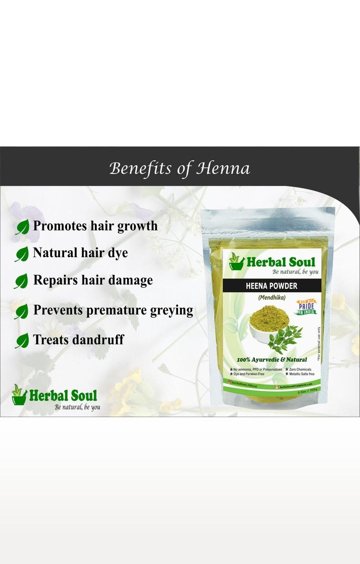 Herbal Soul Combo Of Henna Powder + Fenugreek Powder | 200 gm
