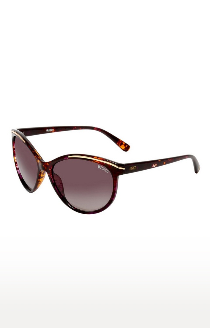 ENRICO | Enrico Hazard Uv Protected Cateye Sunglasses For Women ( Lens - Purple | Frame - Brown)
