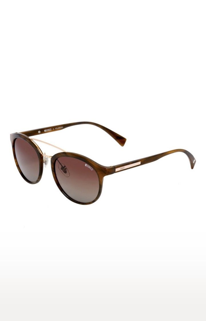 ENRICO | Enrico Muscat Uv Protected Wayfarer Shape Sunglasses For Women ( Lens - Brown | Frame - Brown)