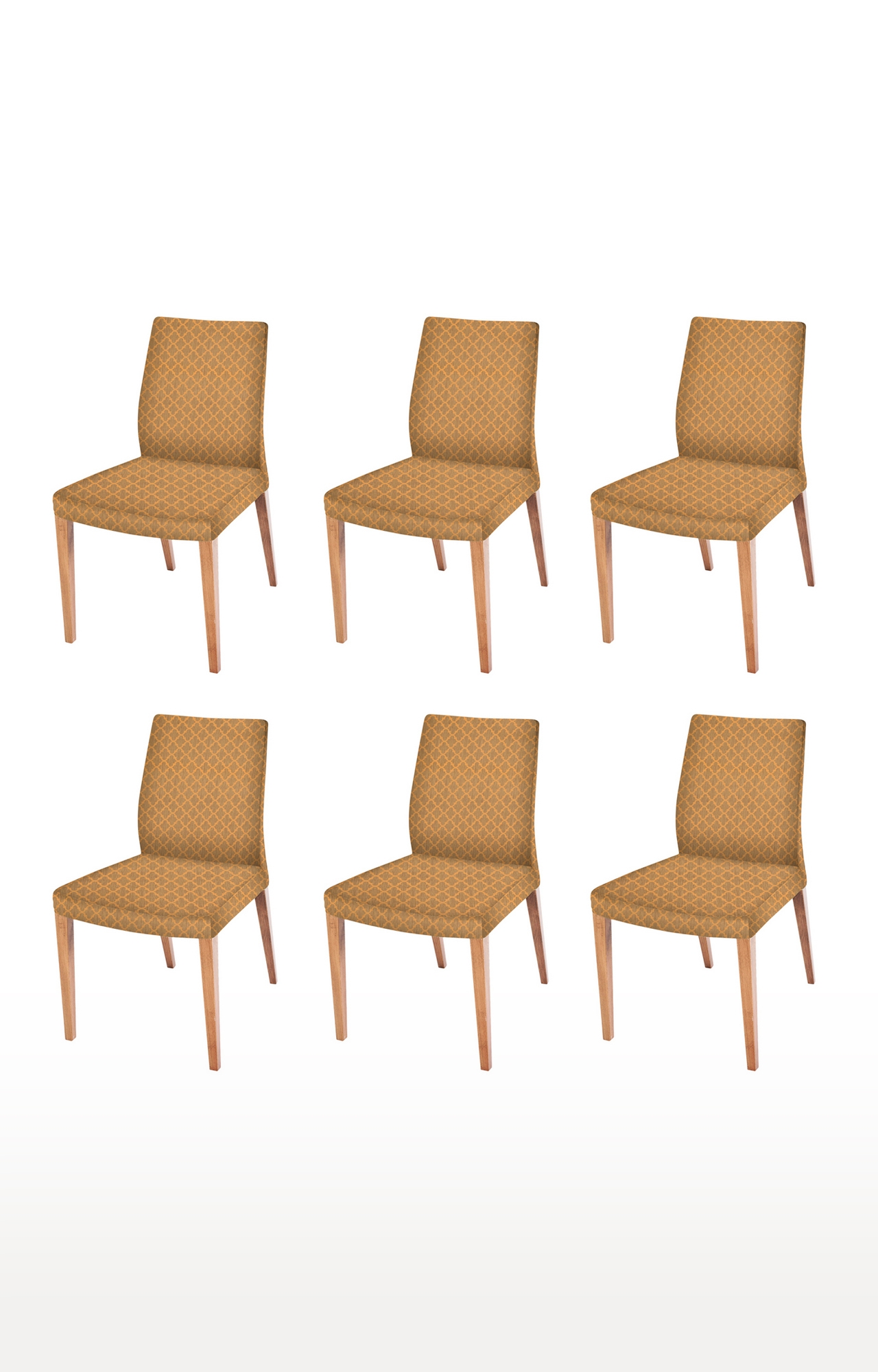 COOQS | Mustard Brown Chair Cover (Pack of 6)