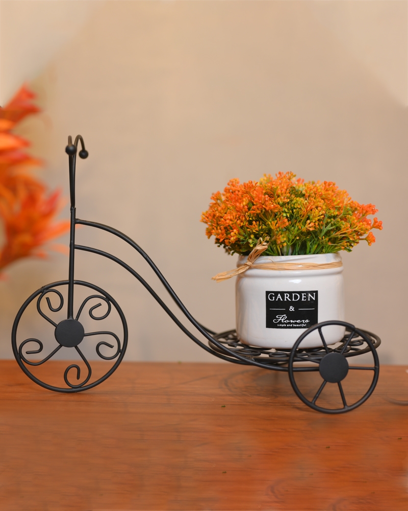 Order Happiness | Order Happiness Metal Rickshaw & Ceramic Flower Planter ( Combo Offer )