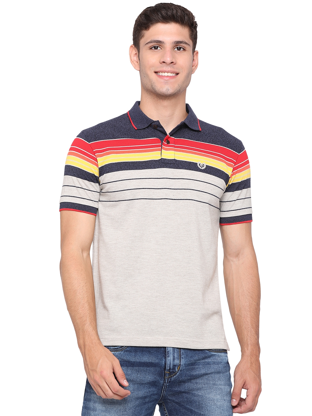 Navy Blue & Grey Striped Slim Fit Polo T-Shirt | Greenfibre