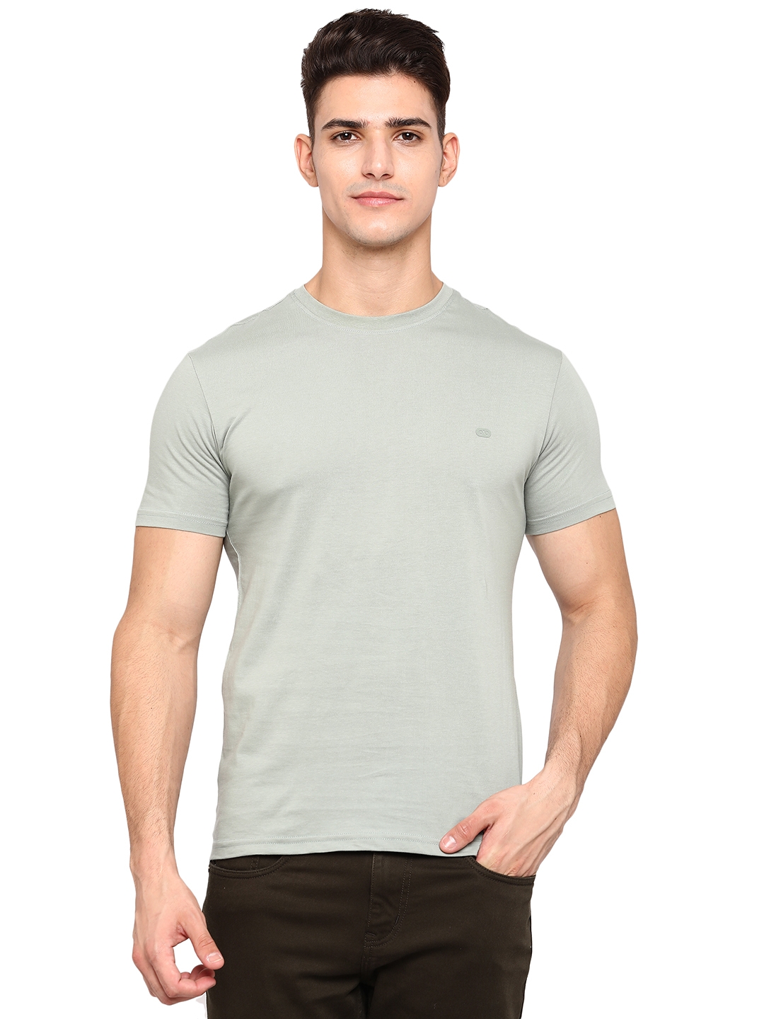 JadeBlue | Tint Green Solid T-Shirts (JB-CR-31P GREEN TINT)