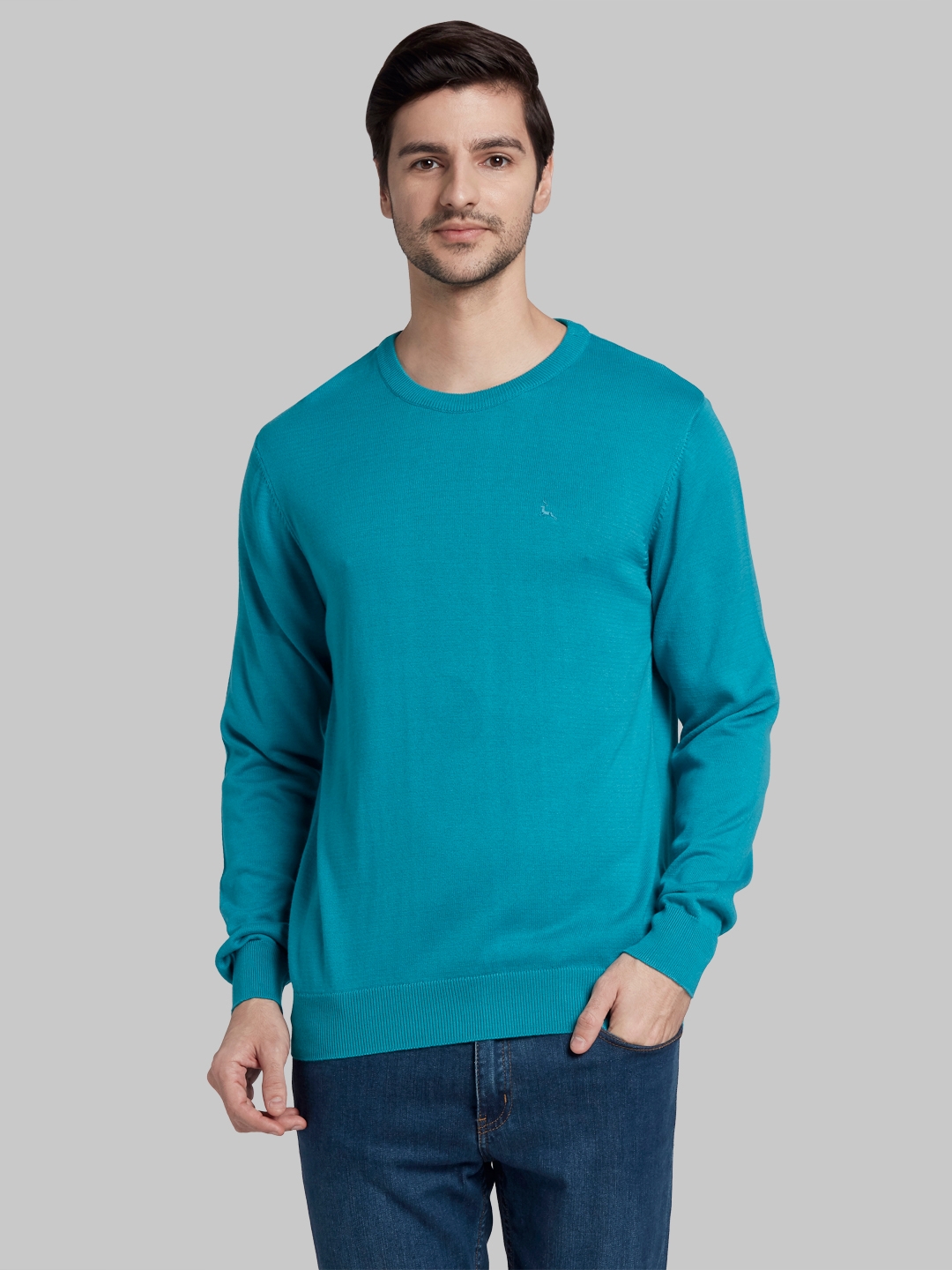 PARX | Parx Medium Green Sweater