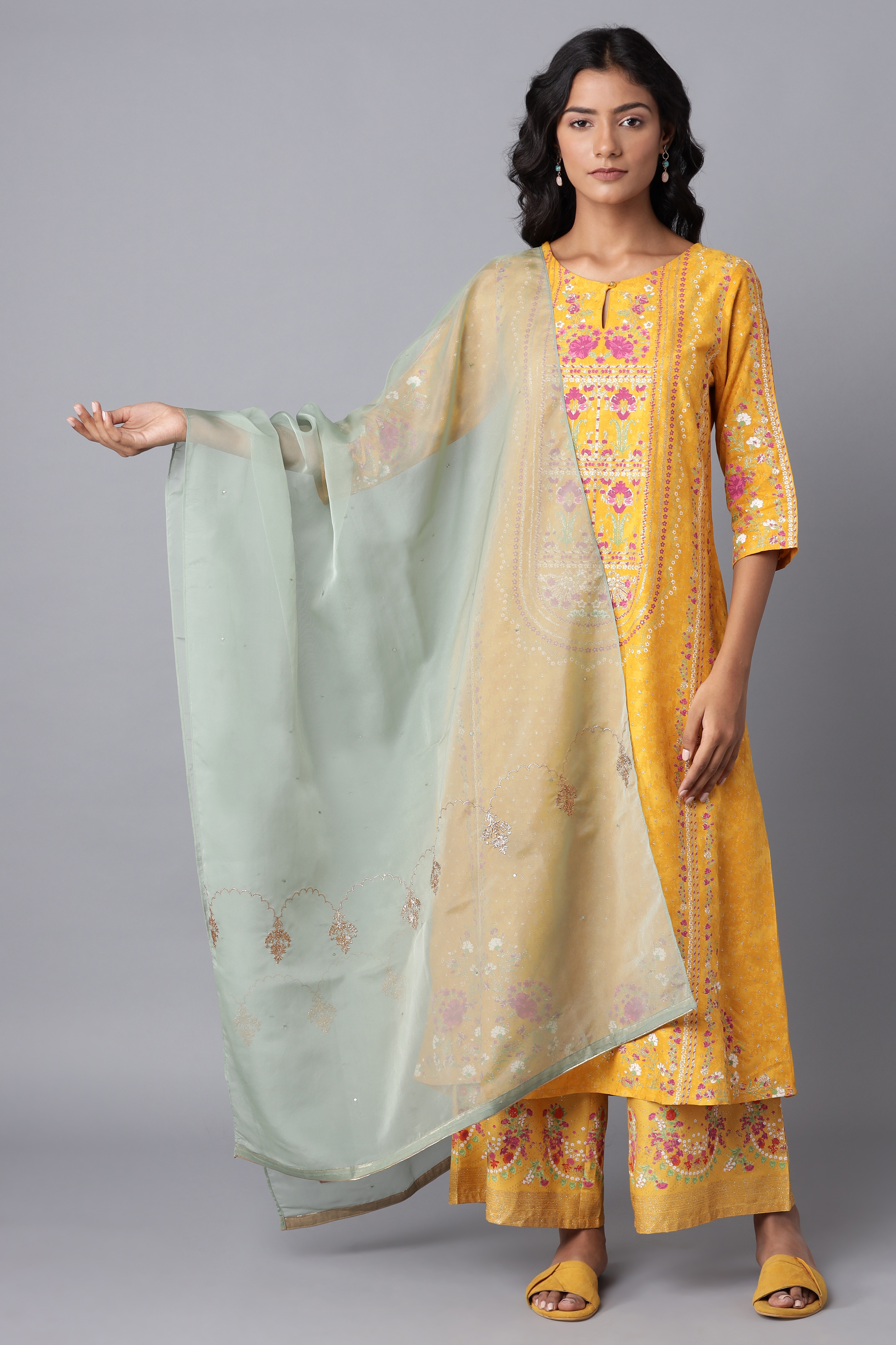 W | Light Green Organza Dupatta with Embroidery