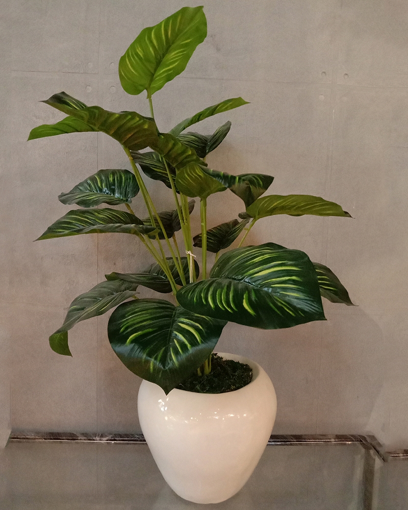 Order Happiness | Order Happiness White Pot with Green Plant Planter